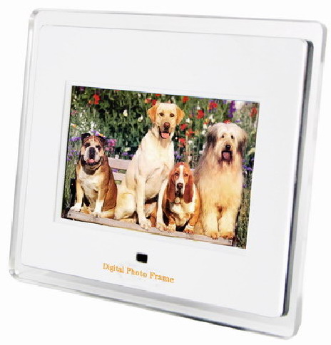 fashion Digital photo frame